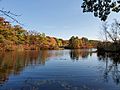 Charles River Branch embankment on Harris Pond (2), October 2020