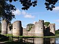 Chateau de Commequiers