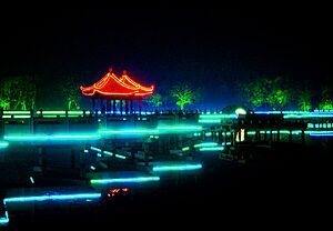 Ci Lake lights January 2009 by Matthew Shaw