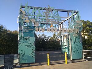 Coney Island Brooklyn Sep 2019 38.jpg