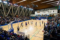 CrystalPalaceBasketballArena