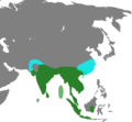 DendrocygnaMap
