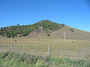 Drought conditions in the Upper Hunter near Singleton