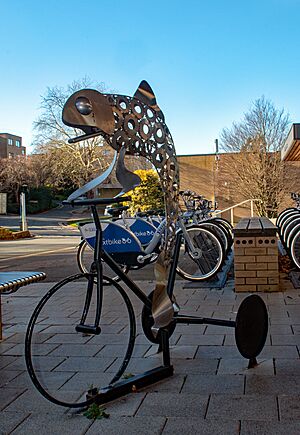 Fish on a tricycle