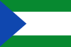 Flag of Puerto Triunfo