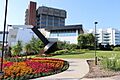 Flowers in Oshawa IMG 2068 (42905650154)