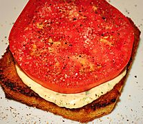 Fresh tomato sandwich