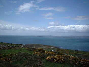 From the highest point of Sherkin Island.jpg