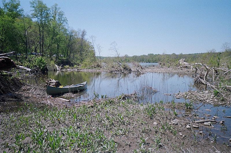 HendrickIslandWestShore