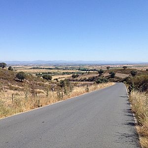 Holguera visto desde el camino a Grimaldo.jpg