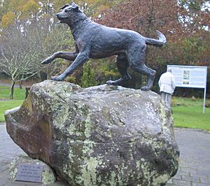 Monument paying tribute to Huntaway dogs at Hunterville