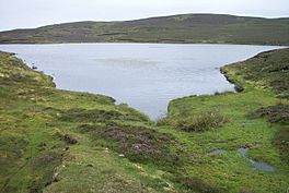 Loch of Livister - geograph.org.uk - 629140.jpg