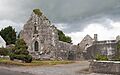 Lorrha Priory of St. Ruadhan SW 2010 09 04