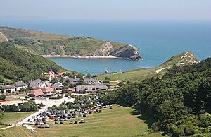 Lulworth Cove from Hambury Tout - geograph.org.uk - 4158867