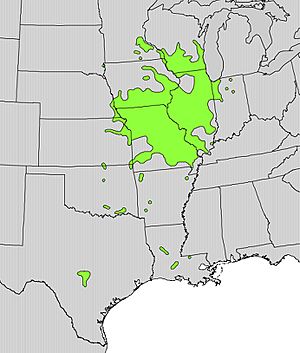Malus ioensis range map.jpg
