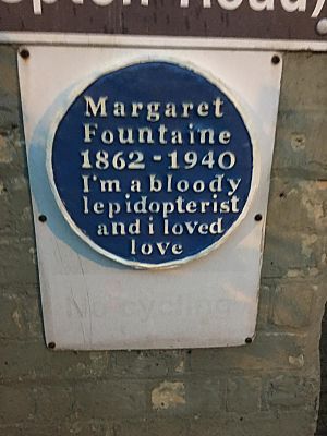 Margaret fountaine Norwich blue plaque
