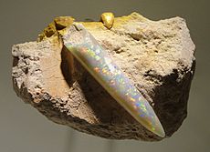 Neohibolites sp., opalized belemnite, Late Early Cretaceous, Coober Pedy Formation, Coober Pedy, South Australia - Houston Museum of Natural Science - DSC01937
