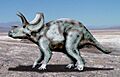 Ojoceratops NT