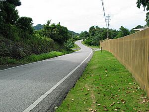 PR-505 southbound in Barrio Machuelo Arriba, Ponce, PR (IMG 3800)