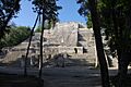 Petén Campechano, Calakmul, Campeche (22173289436)