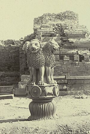 Photograph of the Lion Capital at Sarnath, Uttar Pradesh by Madho Prasad, c.1905