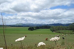 Piensa en Verde - panoramio