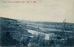 Pine Creek, April 12, 1908 - Malden, Washington (19861380424)