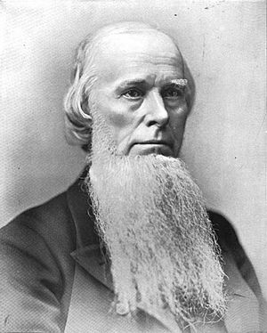 Portrait of Joseph Emerson Brown.jpg