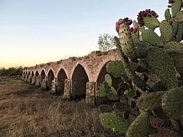 Puente del Camino Real de Tierra Adentro de Ojuelos