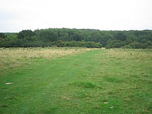 Round Close - geograph.org.uk - 549512.jpg