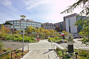 Seattle Children's hospital, 2014-10-13