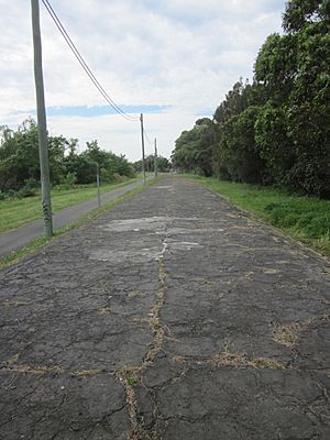 Section of the western outfall main sewer near Valda Street Arncliffe.jpg