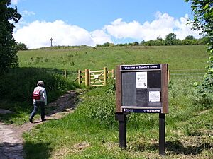 Shawford Down - geograph.org.uk - 448947