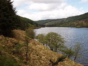 Site of Battle of Glen Trool, 1307 - geograph.org.uk - 14819