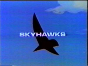 Skyhawks