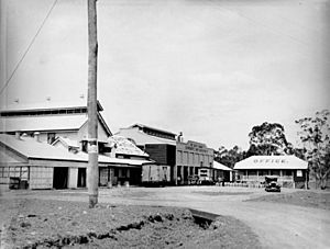South Burnett Cooperative Dairy Association Ltd. Murgon circa 1935