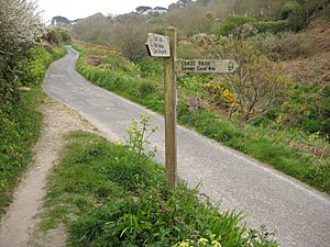 South West Coast Path in the Cot Valley