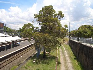 St Peters Railway Station 4