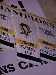 Stanley cup banner 1