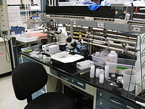 Synthetic Biology Research at NASA Ames