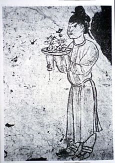 Tang dynasty penzai