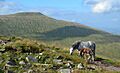 The Brecon Beacons, Wales (14940294477)