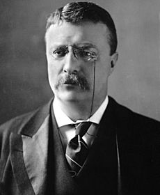 Theodore Roosevelt circa 1902