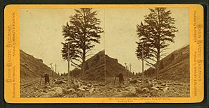 Thousand mile tree, 1000 miles West of Omaha, by Muybridge, Eadweard, 1830-1904