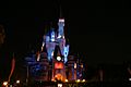 Tokyo Disneylands cinderella castle