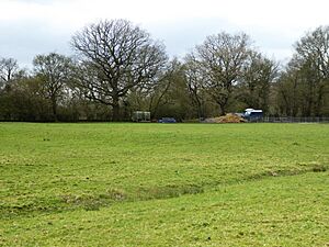 Trottiscliffe Meadows 4