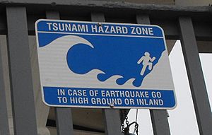 Tsunamihazardzone