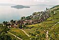 Twann am Bielersee mit Petersinsel