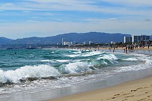 Venice Beach, Los Angeles, CA 07