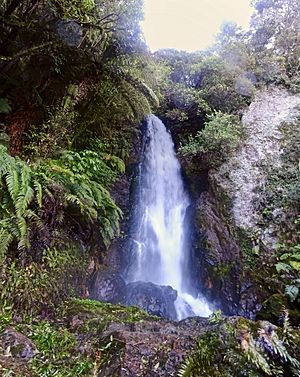 Wairere Falls (Te Wairoa)